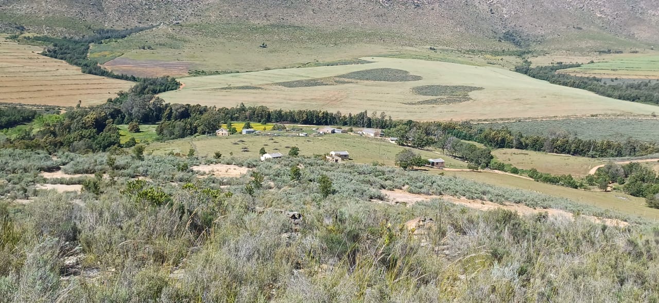 Commercial Property for Sale in George Rural Western Cape